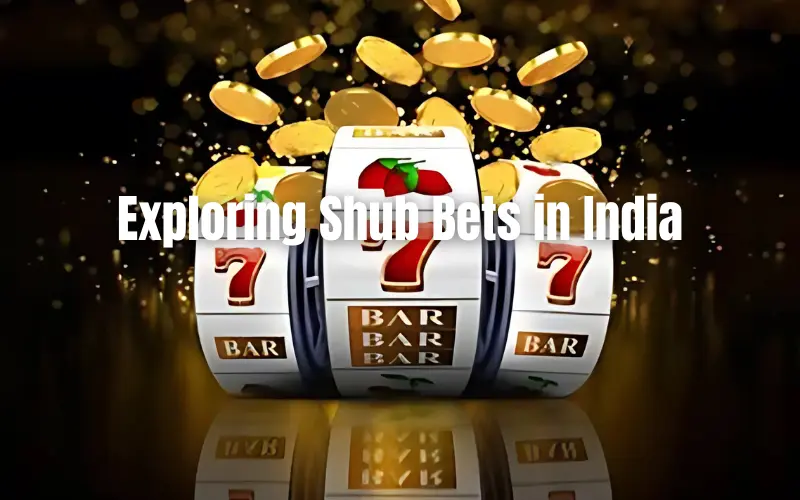 Best Casino Game to Win Money: Exploring Shub Bets in India