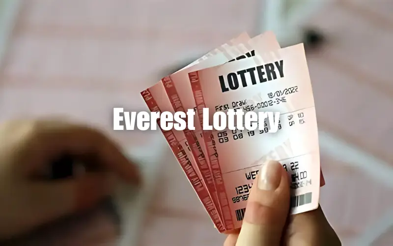 Everest Lottery: Why Shubbets is a Top Choice for Gaming in India