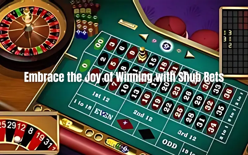 Casino Spin Game: Embrace the Joy of Winning with Shub Bets